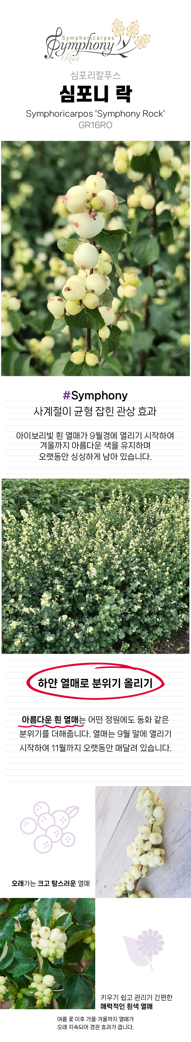 460a208399e0e72e4ea482a0691664d5_1770011138_781.jpg 460a208399e0e72e4ea482a0691664d5_1770011138_781.jpg