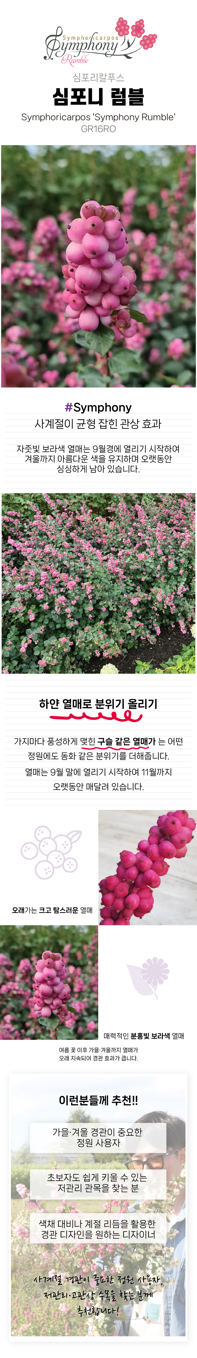 460a208399e0e72e4ea482a0691664d5_1770011139_063.jpg 460a208399e0e72e4ea482a0691664d5_1770011139_063.jpg