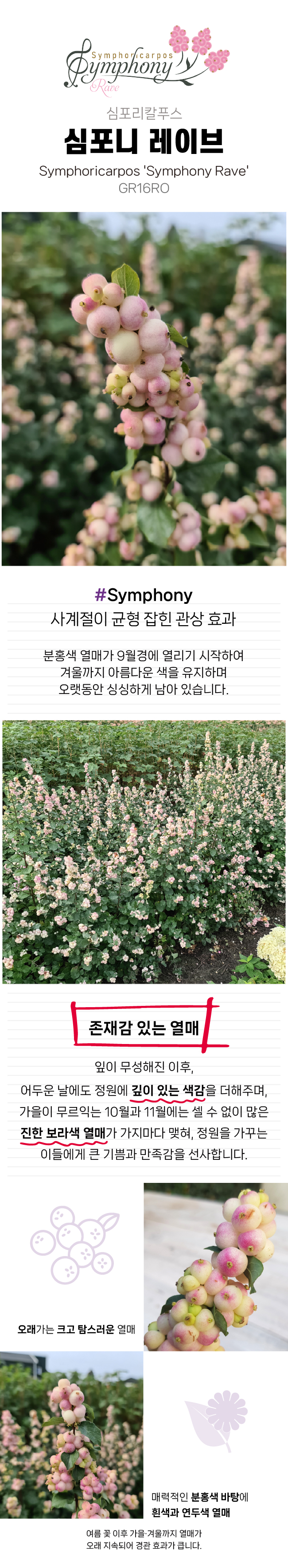 460a208399e0e72e4ea482a0691664d5_1770011139_3066.jpg 460a208399e0e72e4ea482a0691664d5_1770011139_3066.jpg