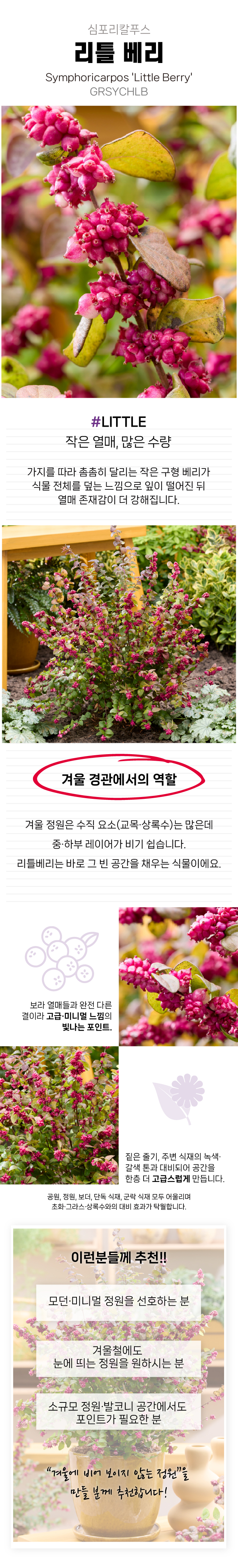 460a208399e0e72e4ea482a0691664d5_1770011141_2939.jpg 460a208399e0e72e4ea482a0691664d5_1770011141_2939.jpg