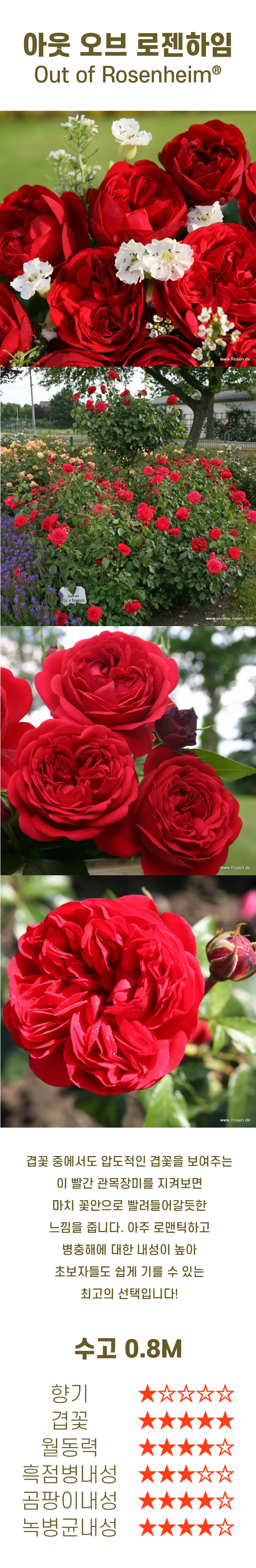 9a61e52d43d1703258aa3bff798156e2_1742596589_7868.jpg
