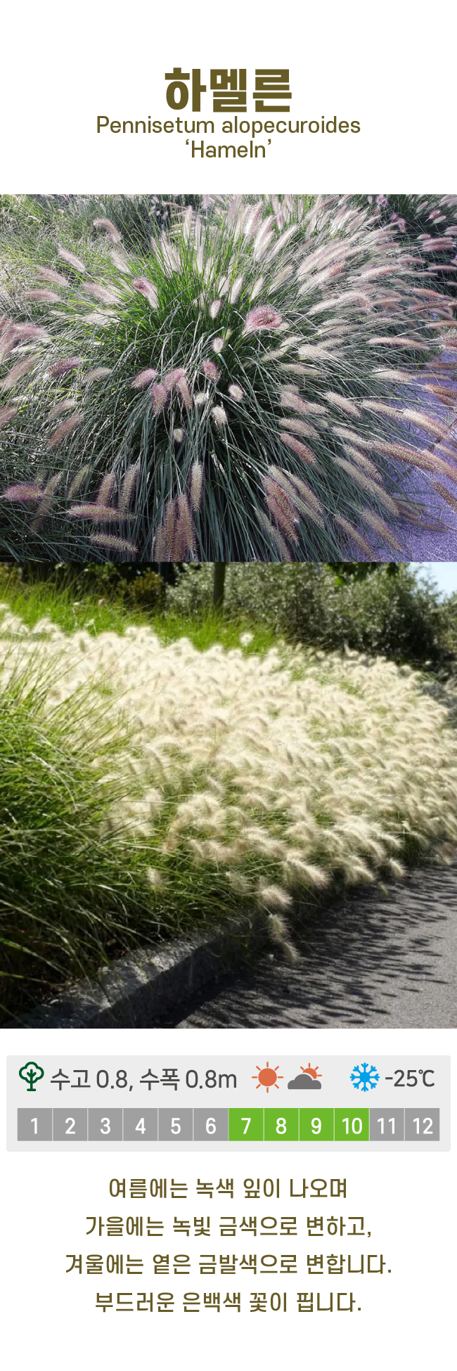 c6b6bc86d780611c9507200f6bd815dd_1741213769_7994.jpg c6b6bc86d780611c9507200f6bd815dd_1741213769_7994.jpg