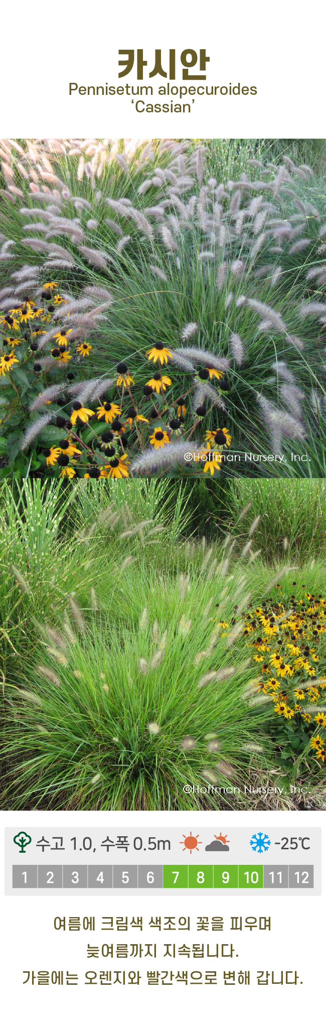 c6b6bc86d780611c9507200f6bd815dd_1741213770_0193.jpg c6b6bc86d780611c9507200f6bd815dd_1741213770_0193.jpg