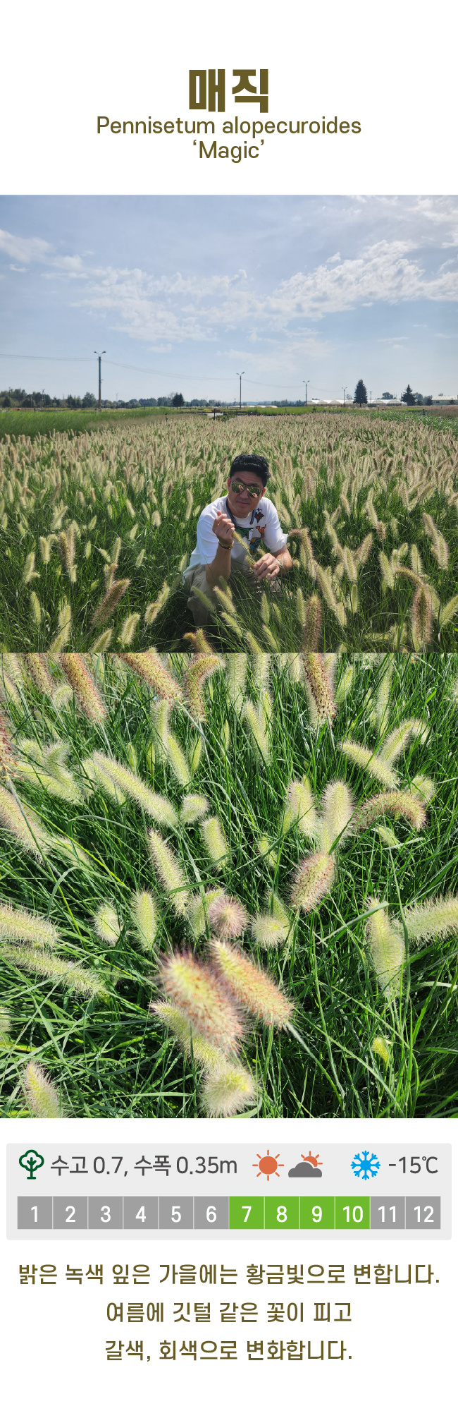 c6b6bc86d780611c9507200f6bd815dd_1741213770_2346.jpg c6b6bc86d780611c9507200f6bd815dd_1741213770_2346.jpg