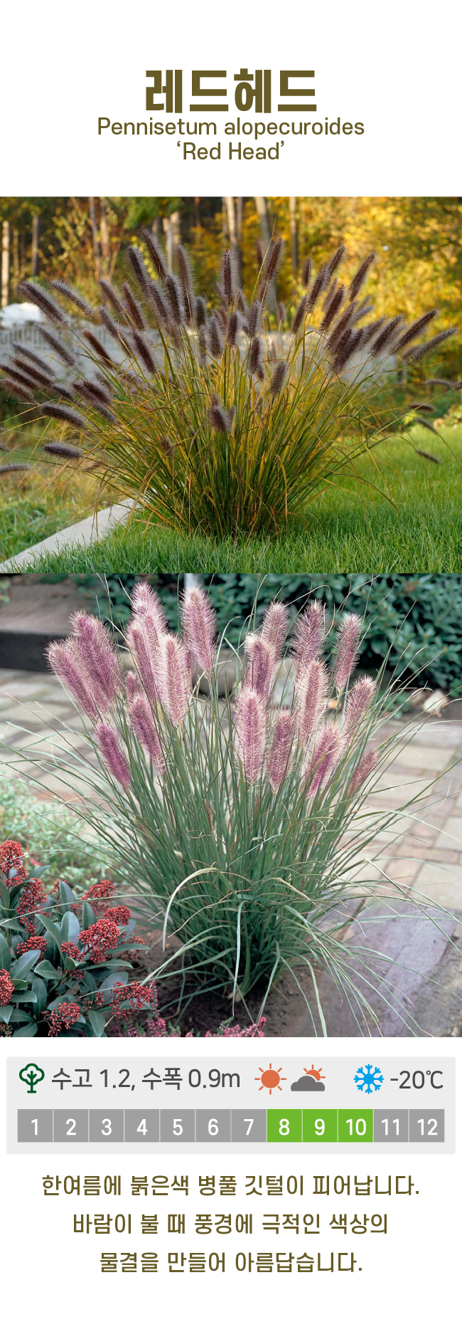 c6b6bc86d780611c9507200f6bd815dd_1741213770_4449.jpg c6b6bc86d780611c9507200f6bd815dd_1741213770_4449.jpg