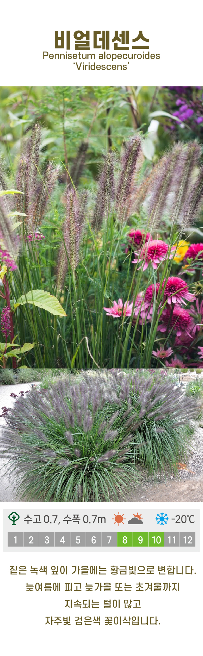 c6b6bc86d780611c9507200f6bd815dd_1741213770_6655.jpg c6b6bc86d780611c9507200f6bd815dd_1741213770_6655.jpg