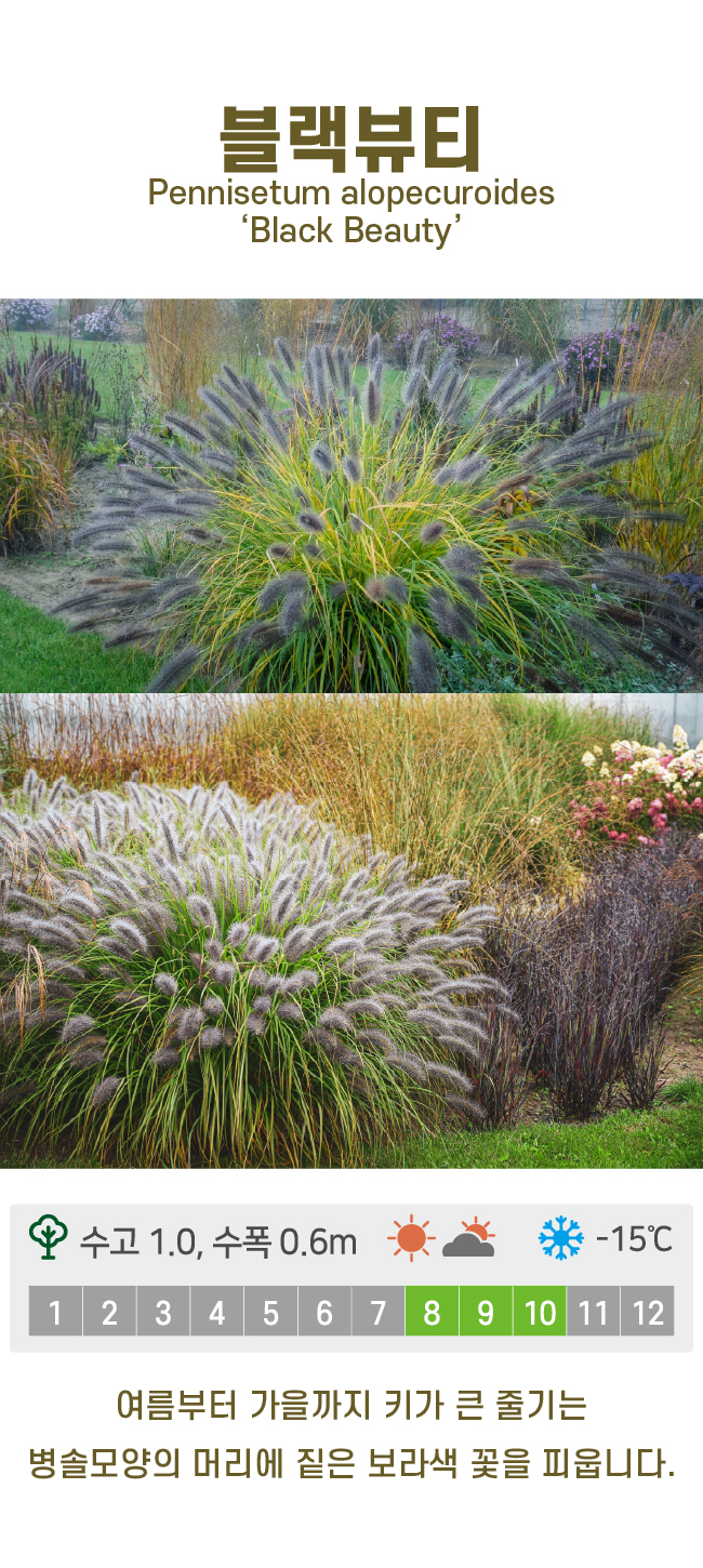 c6b6bc86d780611c9507200f6bd815dd_1741213770_8503.jpg c6b6bc86d780611c9507200f6bd815dd_1741213770_8503.jpg