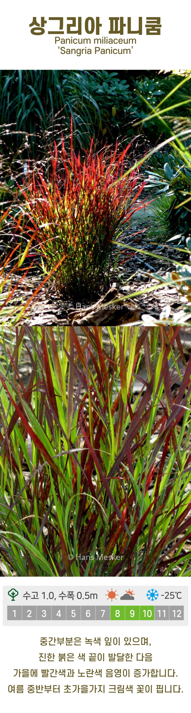 c6b6bc86d780611c9507200f6bd815dd_1741219351_4786.jpg c6b6bc86d780611c9507200f6bd815dd_1741219351_4786.jpg