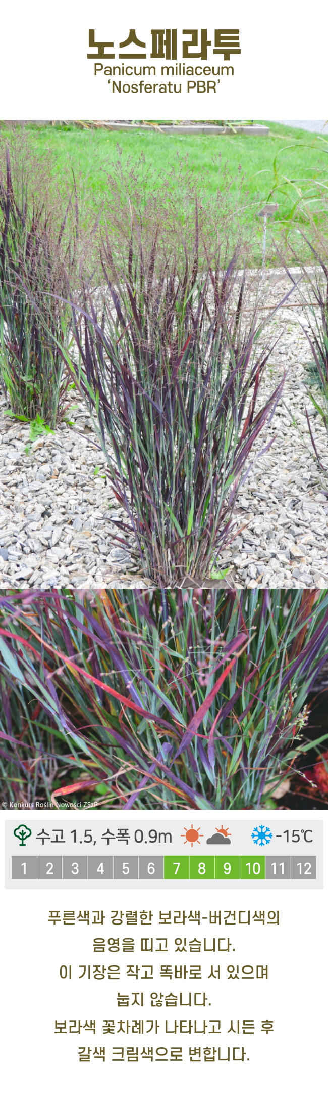 c6b6bc86d780611c9507200f6bd815dd_1741219351_7093.jpg c6b6bc86d780611c9507200f6bd815dd_1741219351_7093.jpg