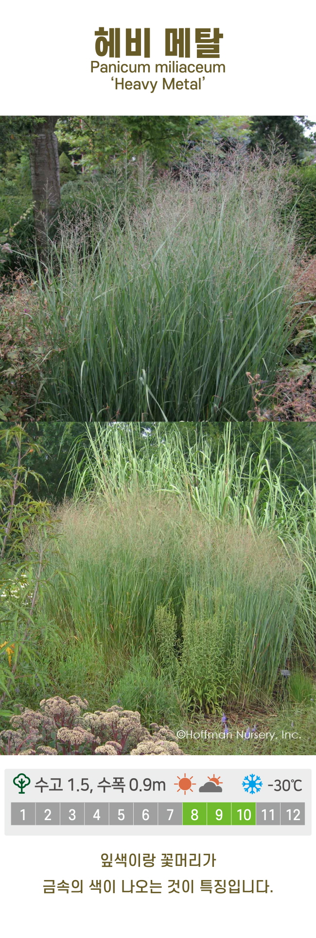 c6b6bc86d780611c9507200f6bd815dd_1741219352_1811.jpg c6b6bc86d780611c9507200f6bd815dd_1741219352_1811.jpg