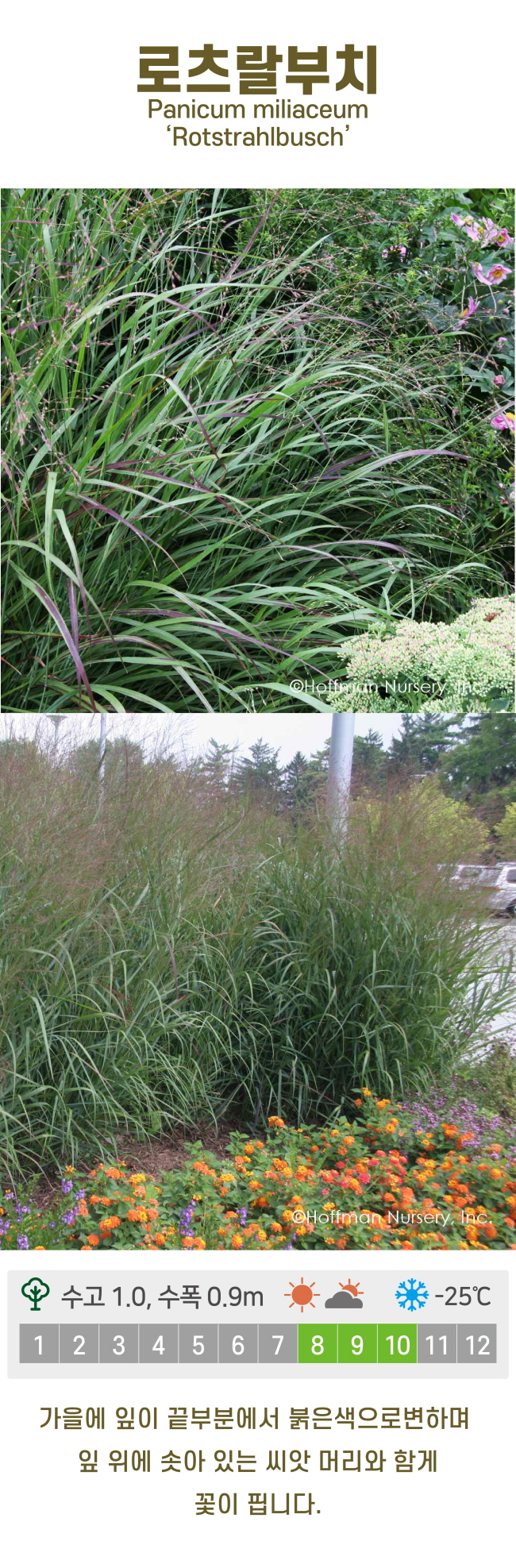 c6b6bc86d780611c9507200f6bd815dd_1741219352_3576.jpg c6b6bc86d780611c9507200f6bd815dd_1741219352_3576.jpg