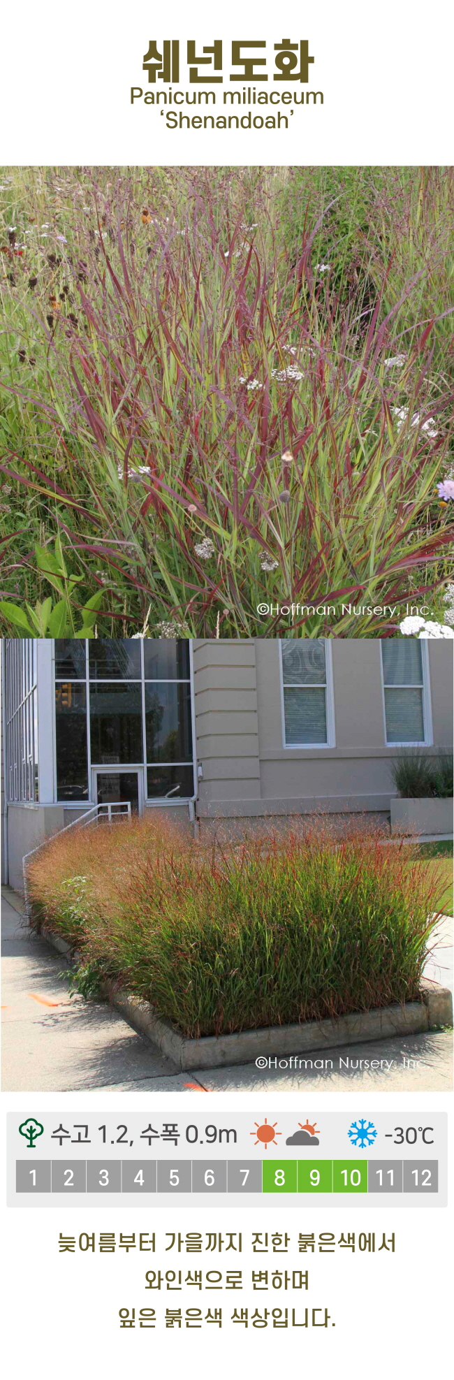 c6b6bc86d780611c9507200f6bd815dd_1741219352_53.jpg c6b6bc86d780611c9507200f6bd815dd_1741219352_53.jpg