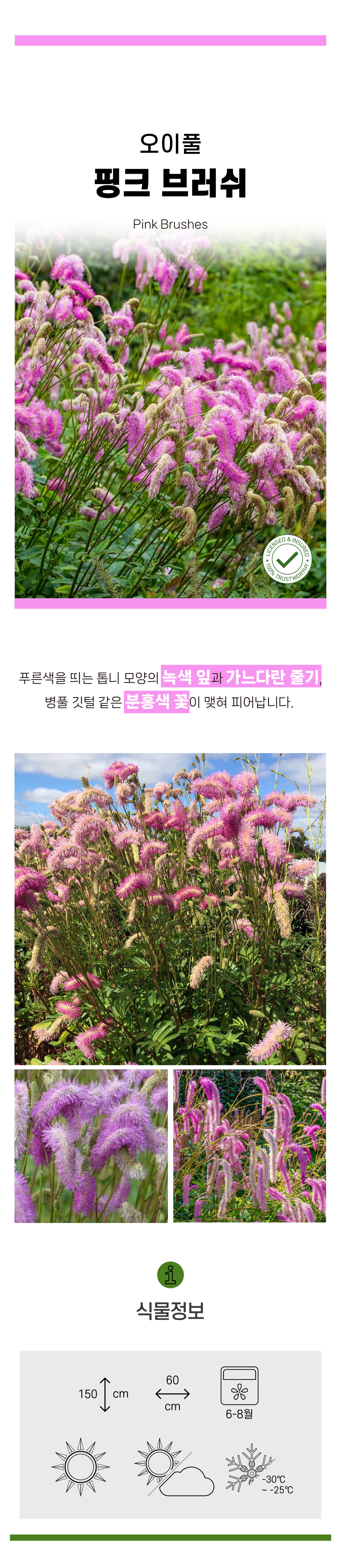 00f96a2711ccc82febae5ee0646352ae_1746174836_3069.jpg 00f96a2711ccc82febae5ee0646352ae_1746174836_3069.jpg