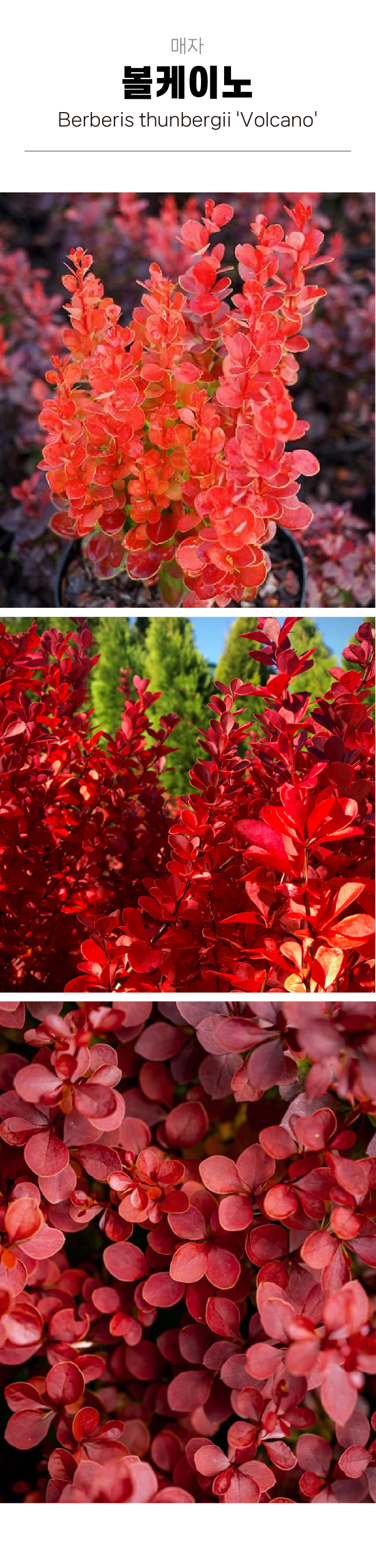 c16ba89c5f8ffb0970191a80a26c2164_1754016653_8051.jpg c16ba89c5f8ffb0970191a80a26c2164_1754016653_8051.jpg