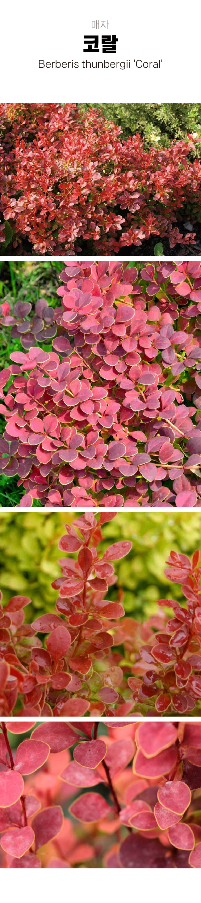 c16ba89c5f8ffb0970191a80a26c2164_1754016654_3057.jpg c16ba89c5f8ffb0970191a80a26c2164_1754016654_3057.jpg