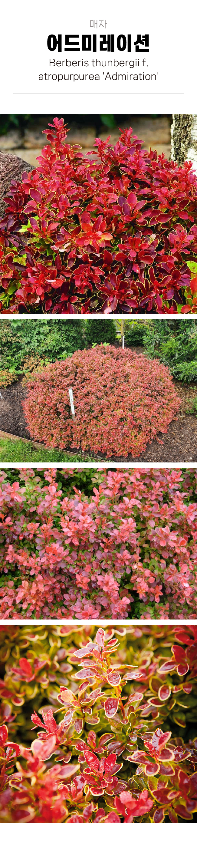 c16ba89c5f8ffb0970191a80a26c2164_1754016654_9112.jpg c16ba89c5f8ffb0970191a80a26c2164_1754016654_9112.jpg