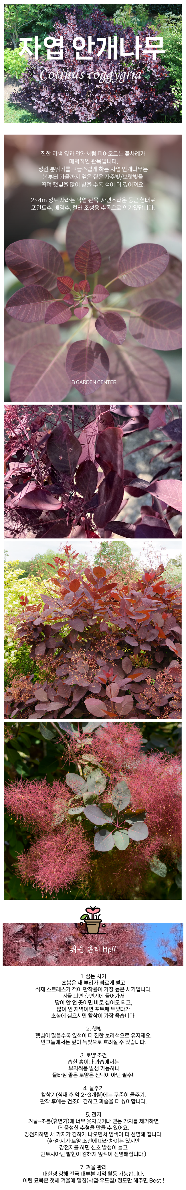 c365437685458462824b51b51f96db1d_1765527359_1266.png c365437685458462824b51b51f96db1d_1765527359_1266.png