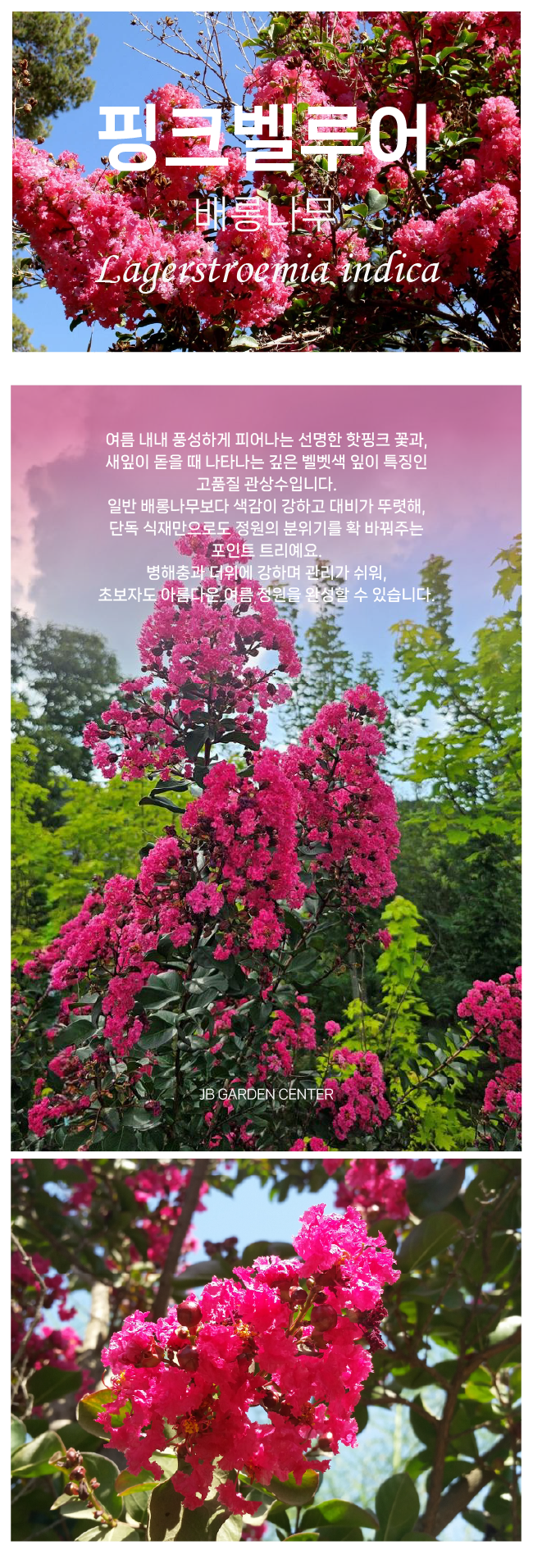 d64b41b95844860f2d00ec155aa6bea4_1765852628_0634.png d64b41b95844860f2d00ec155aa6bea4_1765852628_0634.png