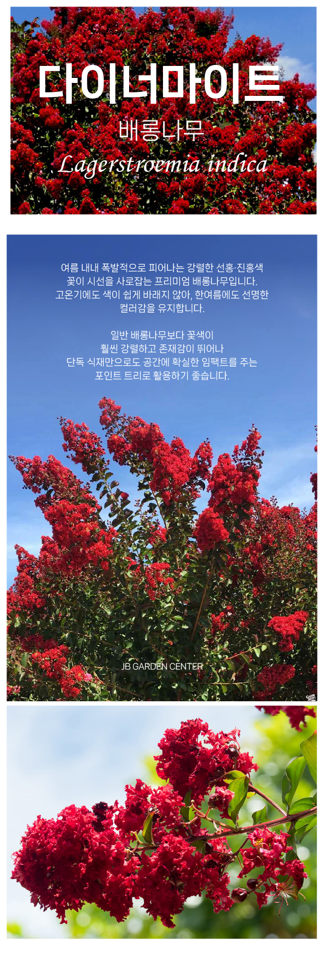 d64b41b95844860f2d00ec155aa6bea4_1765852634_8049.png d64b41b95844860f2d00ec155aa6bea4_1765852634_8049.png