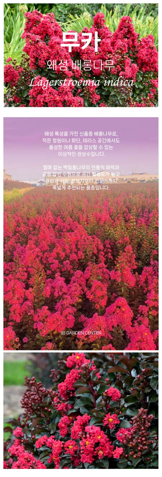 d64b41b95844860f2d00ec155aa6bea4_1765852638_4093.png d64b41b95844860f2d00ec155aa6bea4_1765852638_4093.png