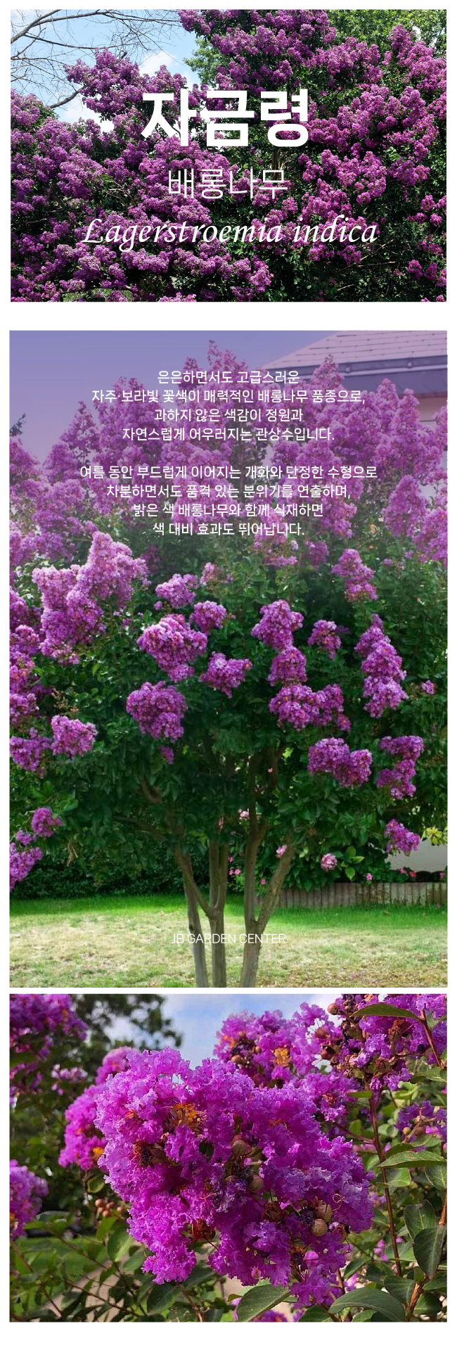 d64b41b95844860f2d00ec155aa6bea4_1765852643_051.png d64b41b95844860f2d00ec155aa6bea4_1765852643_051.png