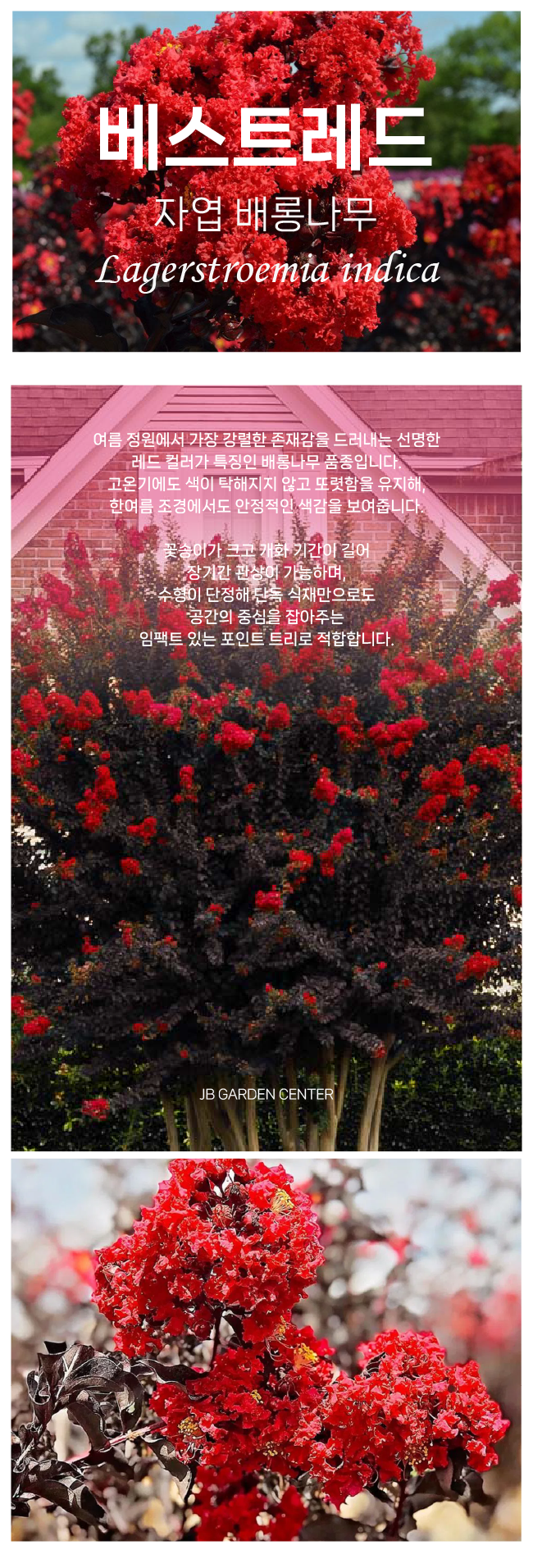 d64b41b95844860f2d00ec155aa6bea4_1765852716_9134.png d64b41b95844860f2d00ec155aa6bea4_1765852716_9134.png