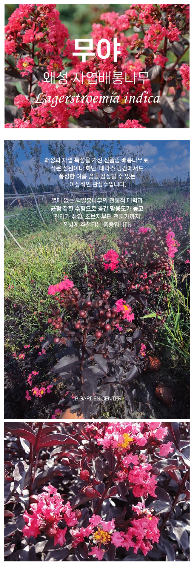 d64b41b95844860f2d00ec155aa6bea4_1765852720_0229.png d64b41b95844860f2d00ec155aa6bea4_1765852720_0229.png