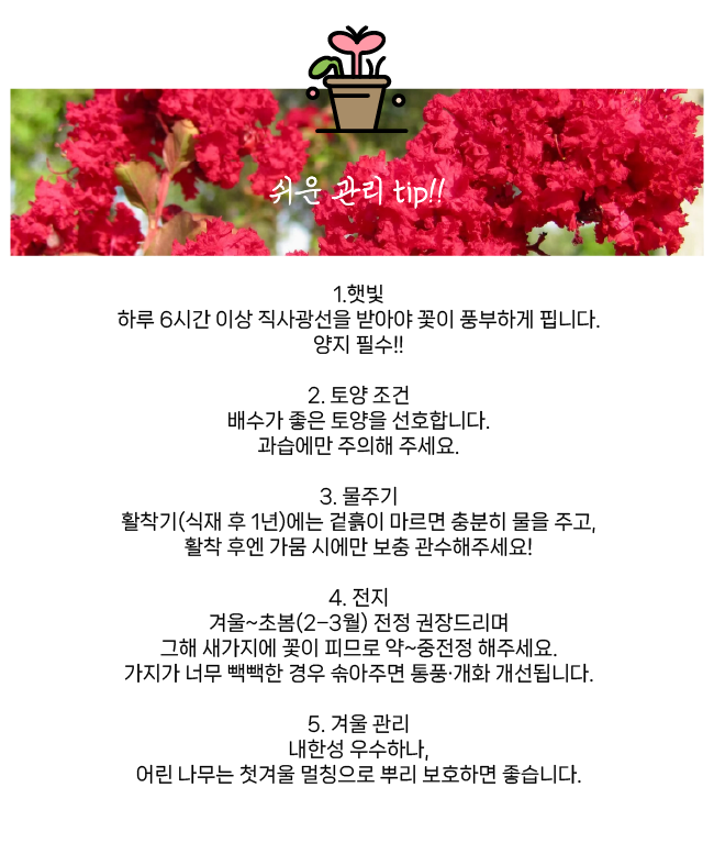 d64b41b95844860f2d00ec155aa6bea4_1765852724_9281.png d64b41b95844860f2d00ec155aa6bea4_1765852724_9281.png