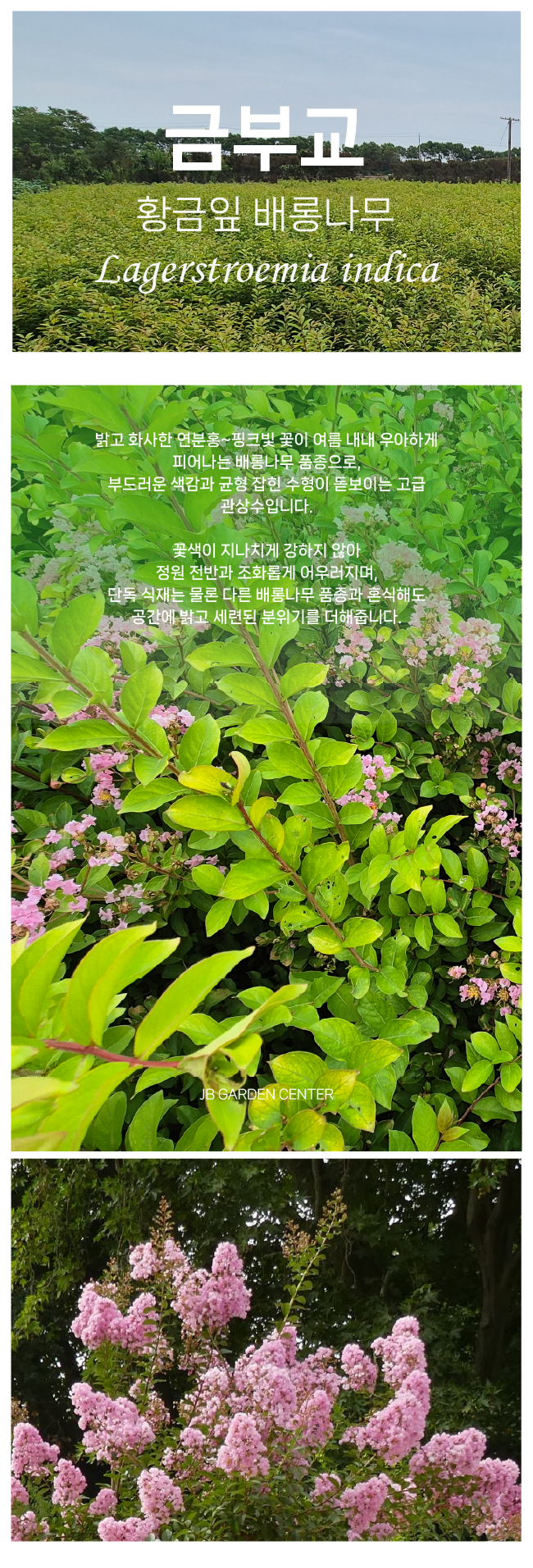 d64b41b95844860f2d00ec155aa6bea4_1765852768_0546.png d64b41b95844860f2d00ec155aa6bea4_1765852768_0546.png