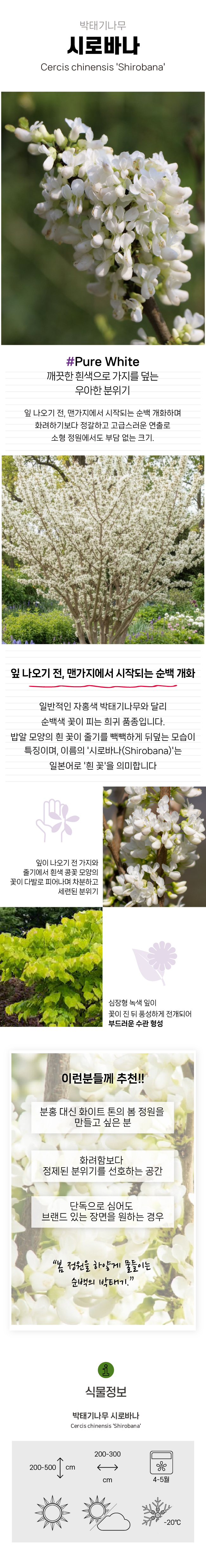 76399d97bc203673fff59080e7b67c24_1770879490_7932.jpg 76399d97bc203673fff59080e7b67c24_1770879490_7932.jpg