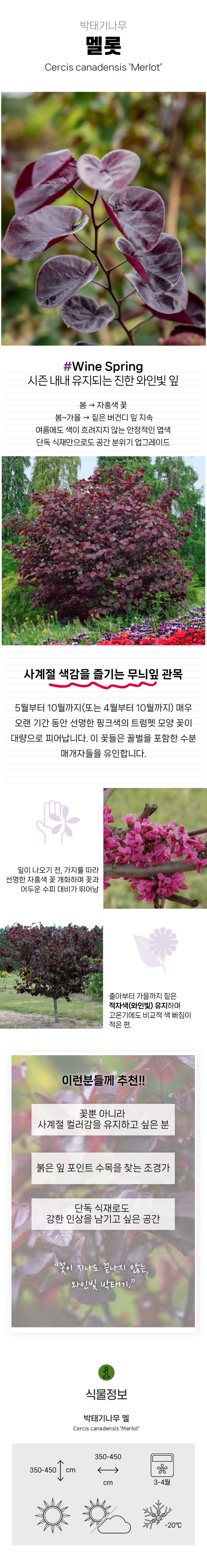 76399d97bc203673fff59080e7b67c24_1770879494_5663.jpg 76399d97bc203673fff59080e7b67c24_1770879494_5663.jpg