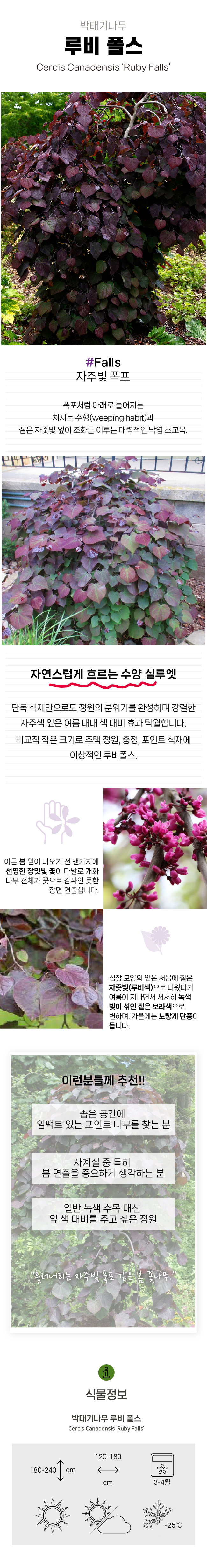 76399d97bc203673fff59080e7b67c24_1770879494_864.jpg 76399d97bc203673fff59080e7b67c24_1770879494_864.jpg