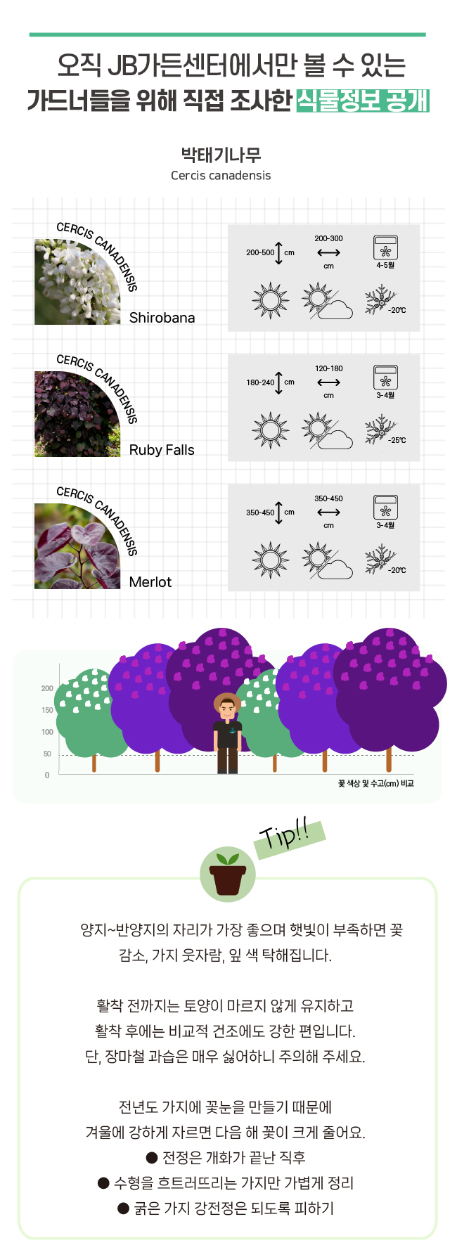 76399d97bc203673fff59080e7b67c24_1770879496_4812.jpg 76399d97bc203673fff59080e7b67c24_1770879496_4812.jpg