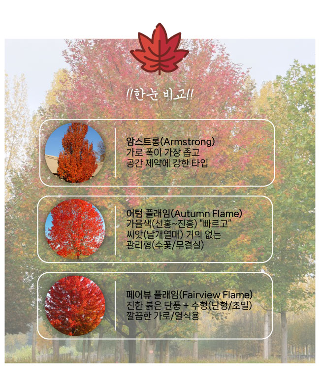 8661a33514c9ce2664c28a1dbd361e3f_1770277625_9185.jpg 8661a33514c9ce2664c28a1dbd361e3f_1770277625_9185.jpg