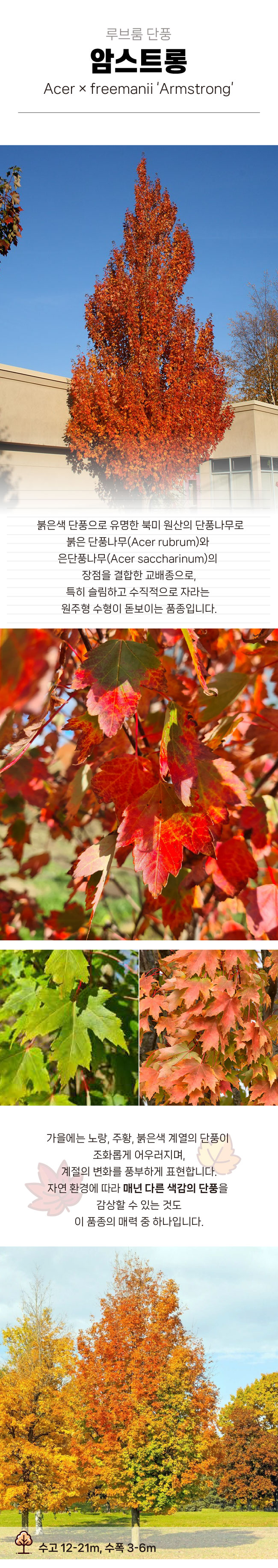 8661a33514c9ce2664c28a1dbd361e3f_1770277630_9809.jpg 8661a33514c9ce2664c28a1dbd361e3f_1770277630_9809.jpg