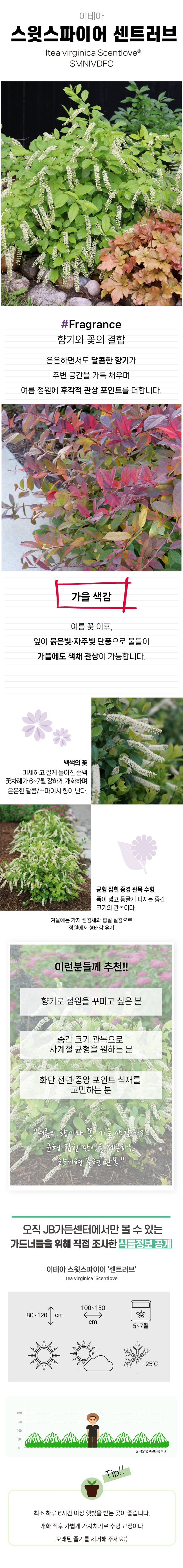 8f73a83ffc38fdd03f1c67eb5028a862_1770183442_5264.jpg 8f73a83ffc38fdd03f1c67eb5028a862_1770183442_5264.jpg