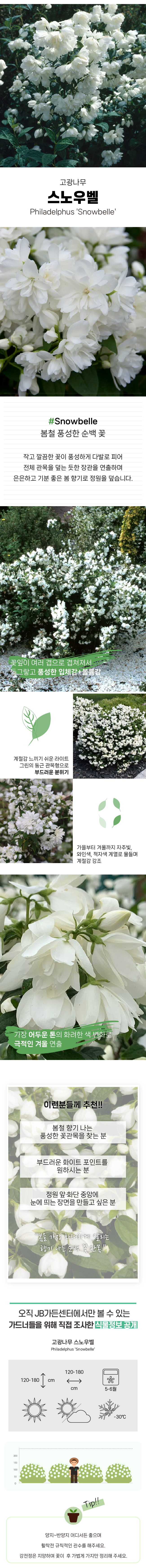 a91b42162c8ae158b06125599b8e97ff_1770707099_4266.jpg a91b42162c8ae158b06125599b8e97ff_1770707099_4266.jpg