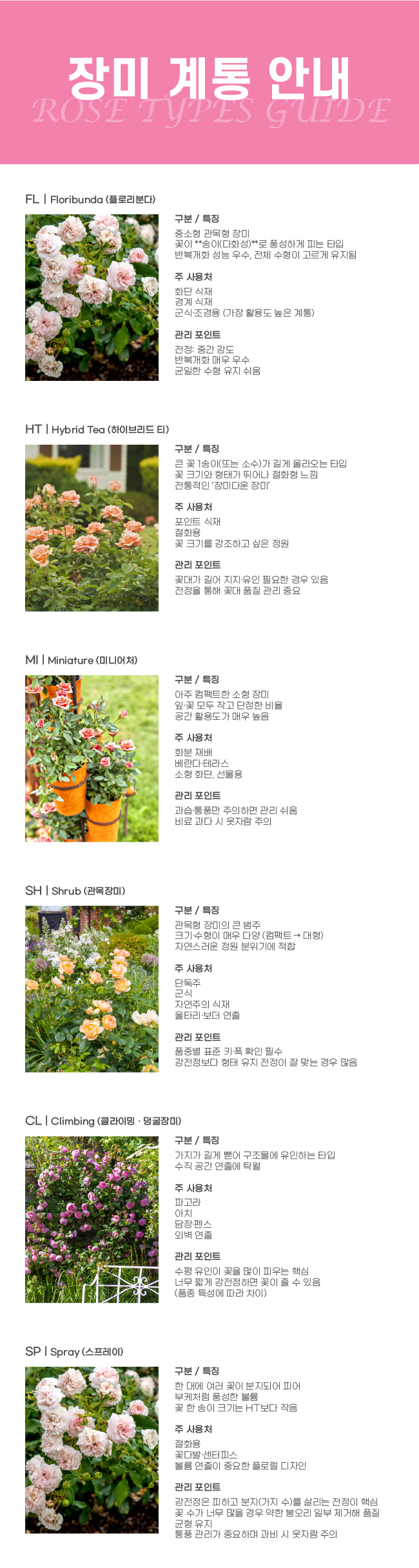 b12596714f3cc2680464caae35c68f90_1772086512_9949.jpg b12596714f3cc2680464caae35c68f90_1772086512_9949.jpg