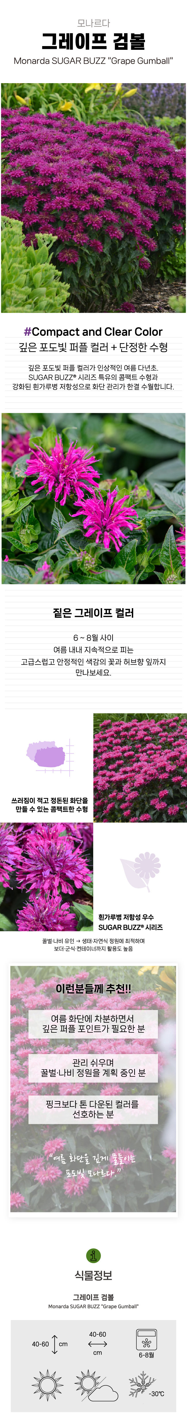 b12596714f3cc2680464caae35c68f90_1772092174_2566.jpg b12596714f3cc2680464caae35c68f90_1772092174_2566.jpg