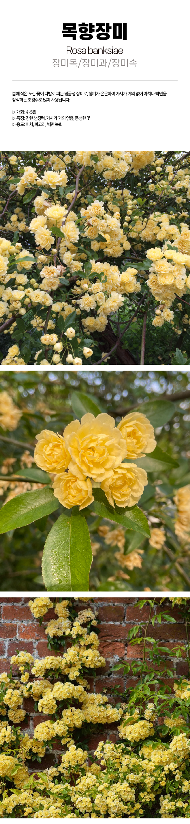 c03e9a60f184f2745d6d16ff5ad18285_1773130771_0879.jpg c03e9a60f184f2745d6d16ff5ad18285_1773130771_0879_1773880934.jpg