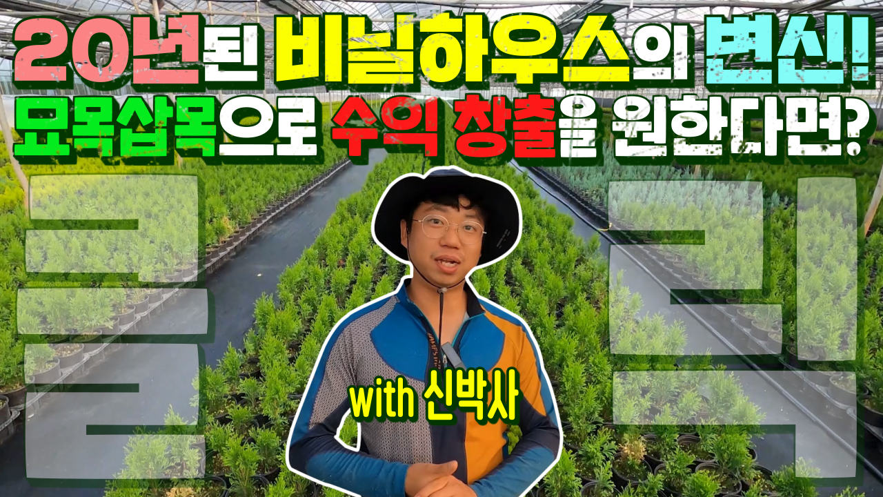 ed9857fe93c68cada20f51dbcee820e1_1626997784_44.png