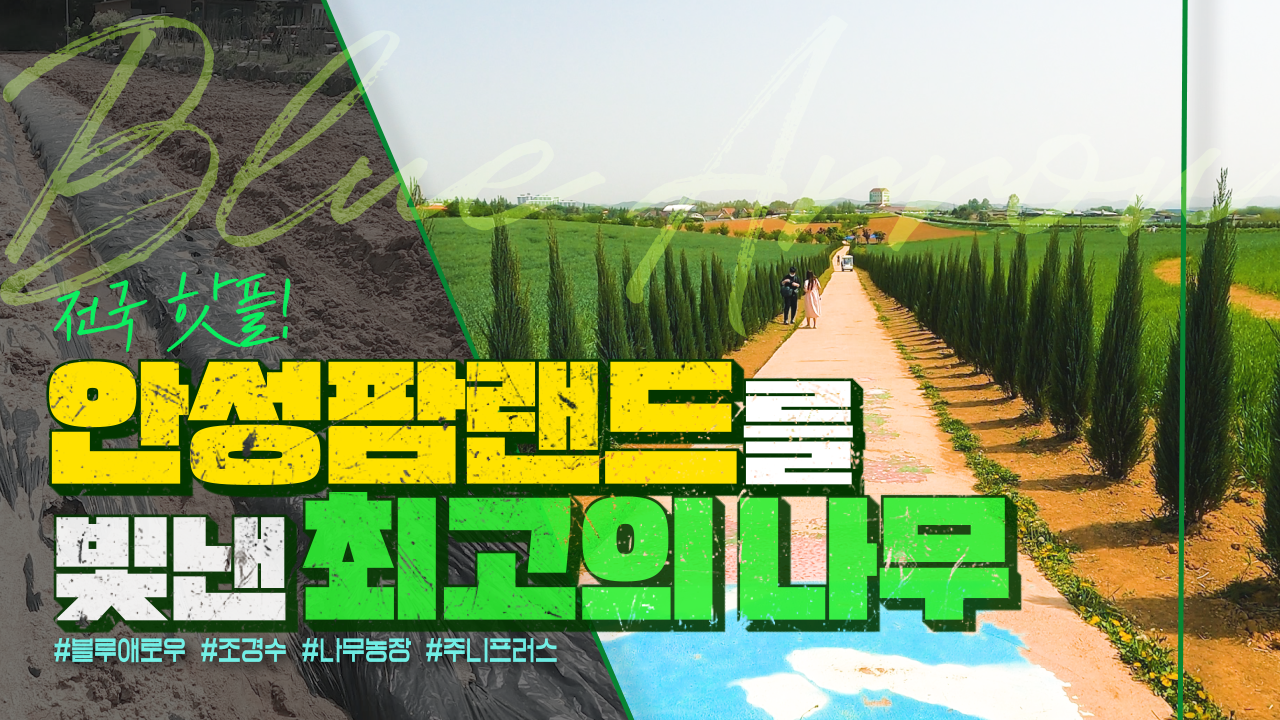 93c0a96c883d450933a4cea1b8dd0e7e_1651827459_83.png
