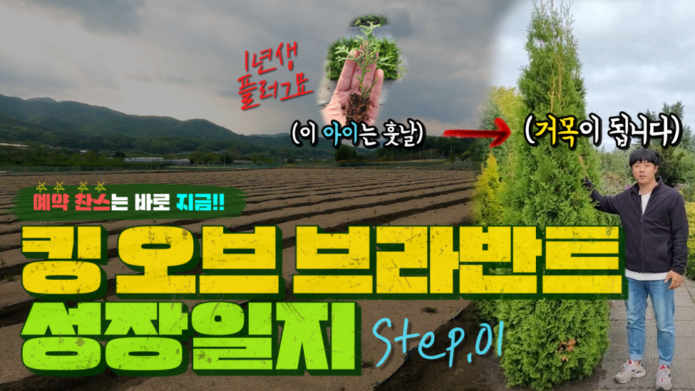 bd1059874a4a1916d9271e3bdb30e553_1660258672_38.png