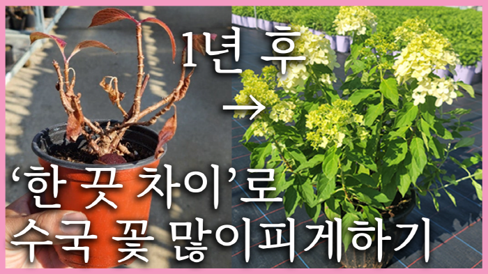 574c61d4210ecc583f5ae393ac92a58e_1668922884_73.png