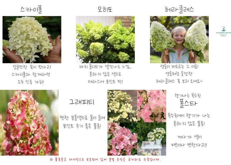 a4d0ff6615b48d040789c4c7f55d0f9b_1667554687_07.jpg