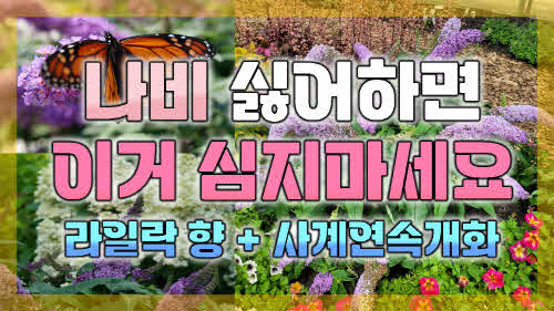 a8d0ede7f9ff171f140d73177ed7a8c1_1682583405_24.jpg